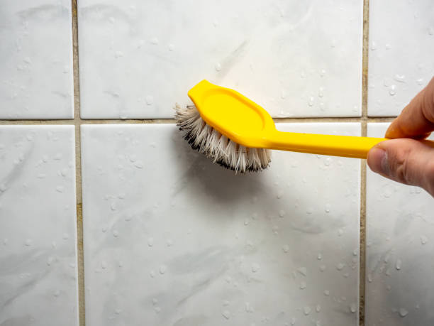 Best Mold Removal Specialists  in Brownlee Park, MI