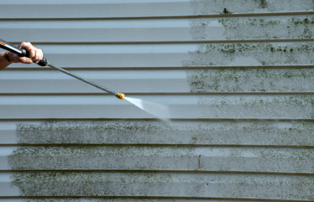 Best Residential Mold Removal  in Brownlee Park, MI