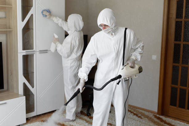 Best Commercial Mold Removal  in Brownlee Park, MI