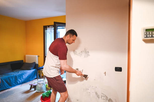 Best Water Damage Restoration  in Brownlee Park, MI